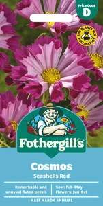 Cosmos Seashells Red Seeds - image 1