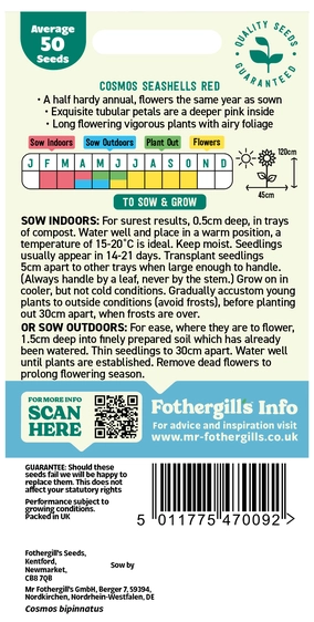 Cosmos Seashells Red Seeds - image 2