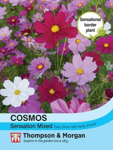 Cosmos Sensation Mixed - image 1