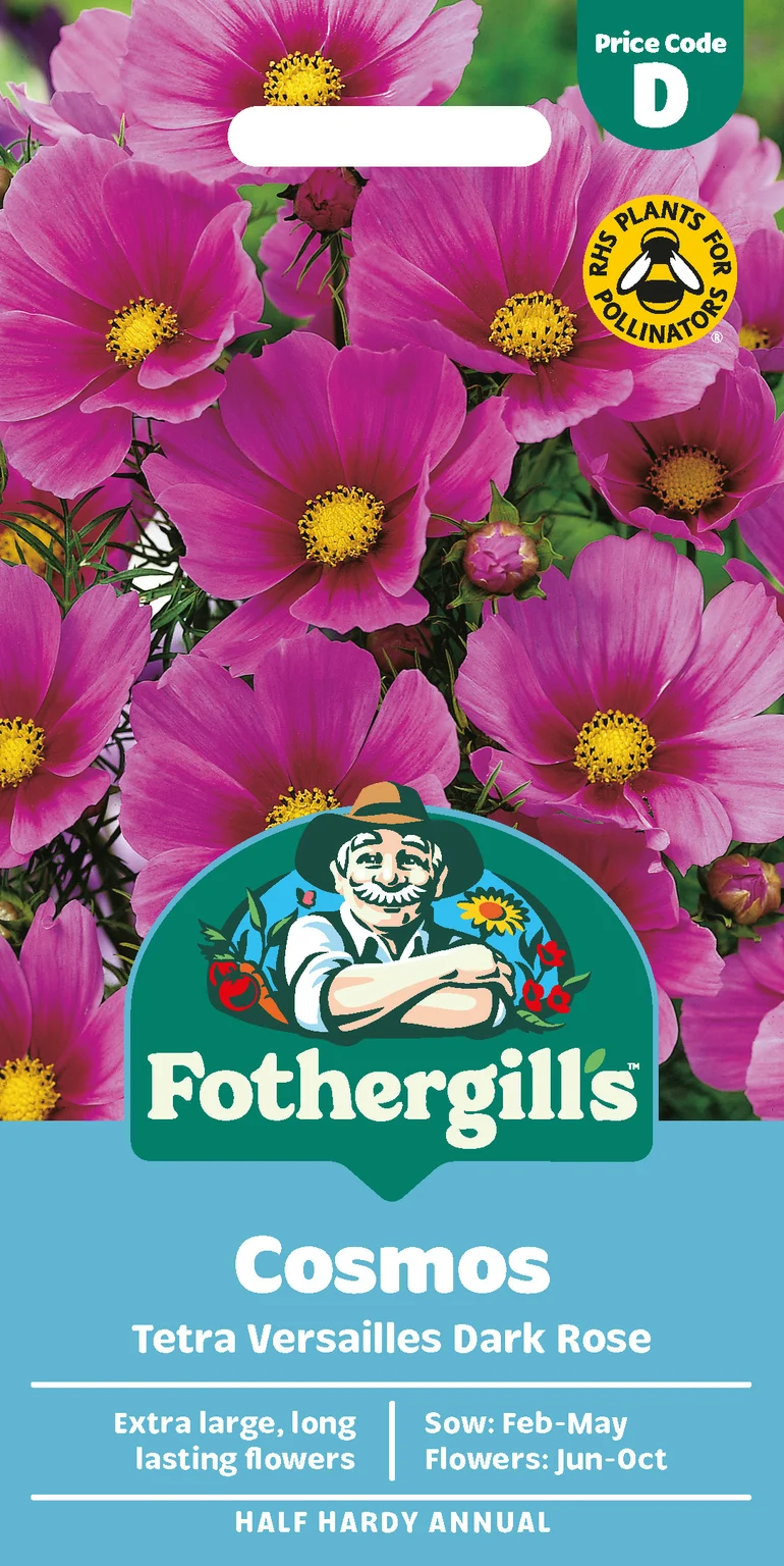 Cosmos Tetra Versailles Dark Rose Seeds - Cowell's Garden Centre