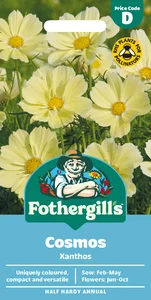 Cosmos Xanthos Seeds - image 1