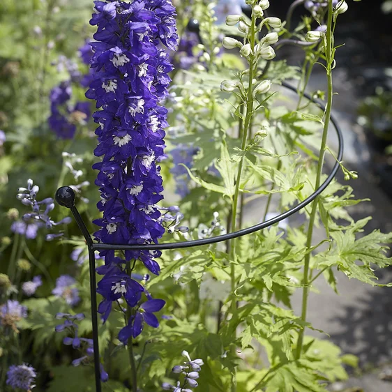 Cottage Garden Plant Support Arc - Medium - image 1