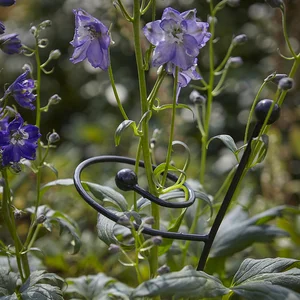 Cottage Garden Twisted Single Stem Support - image 1