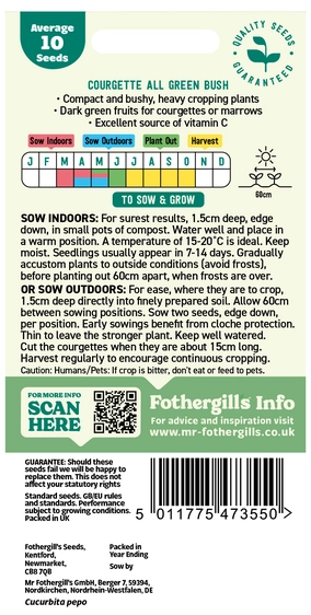 Courgette All Green Bush Seeds - image 2