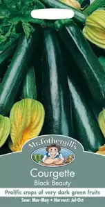 Courgette Black Beauty - image 1