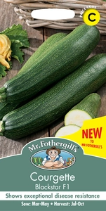 Courgette Blackstar F1 - image 1