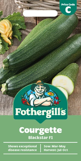 Courgette Blackstar F1 - image 1