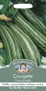 Courgette Coucourzelle - image 1