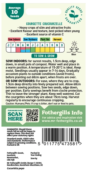 Courgette Coucourzelle - image 2