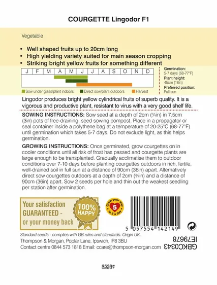 Courgette Lingodor F1 - image 2