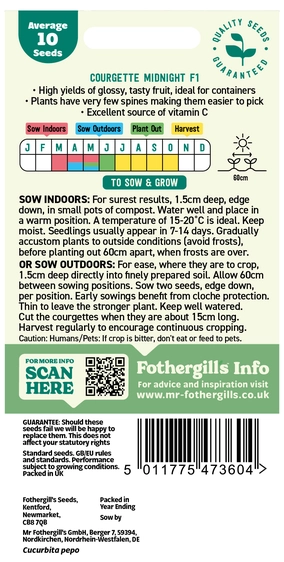 Courgette Midnight F1 Seeds - image 2