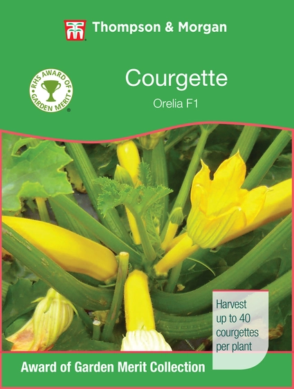 Courgette Orelia F1 - image 1