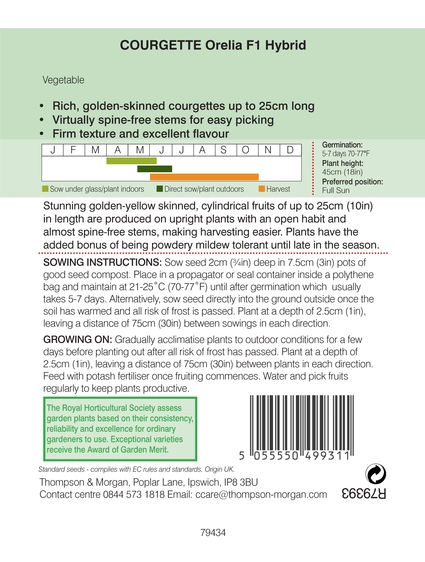 Courgette Orelia F1 - image 2