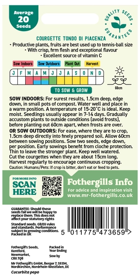 Courgette Tondo Di Piacenza - image 2