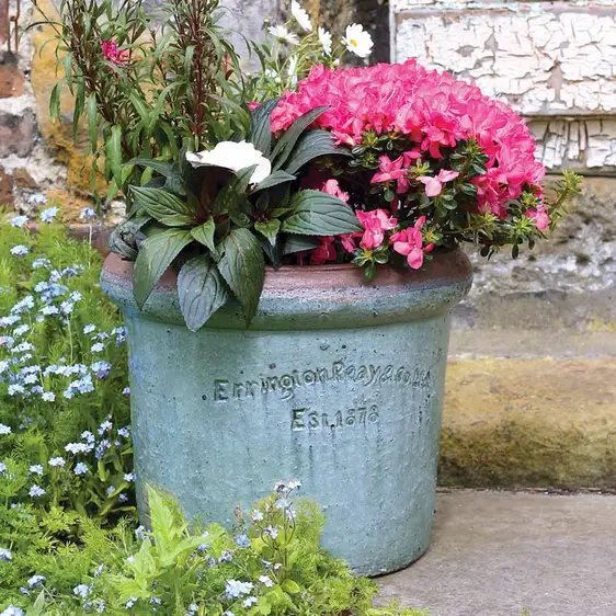 Courtyard Stone Rim Edge Planter Ø50cm - image 2