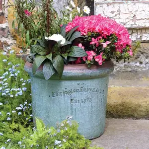 Courtyard Stone Rim Edge Planter Ø50cm - image 2