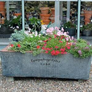 Courtyard Stone Trough Planter
