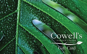Cowell's Digital Gift Card - Monstera - image 1