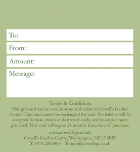 Cowell's Digital Gift Card - Monstera - image 2