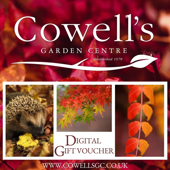 Cowell's e-Gift Voucher - Autumn Design