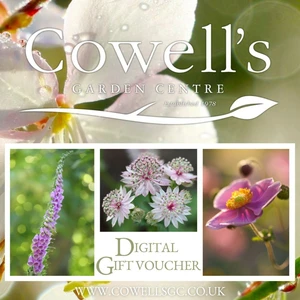 Cowell's e-Gift Voucher - Garden Design