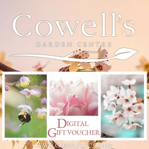 Cowell's e-Gift Voucher - Spring Design