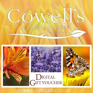 Cowell's e-Gift Voucher - Summer Design