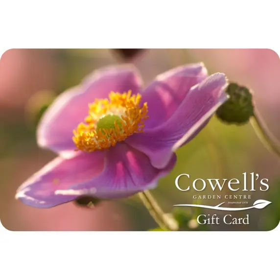 Cowell's Gift Card - Garden Design - image 2