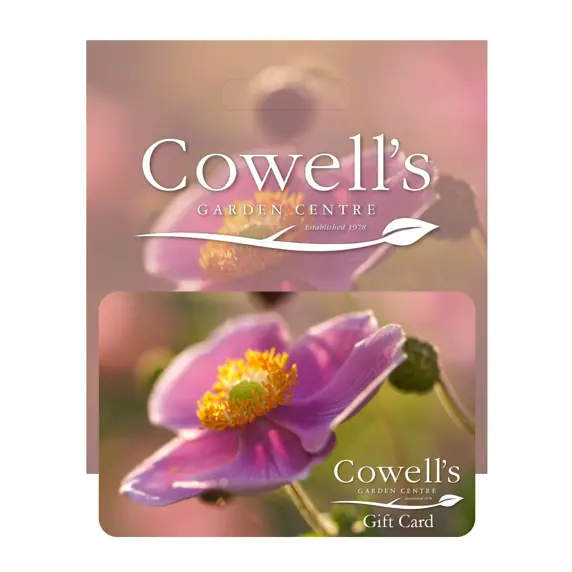 Cowell's Gift Card - Garden Design - image 1