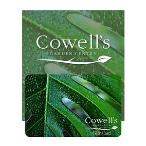 Cowell's Gift Card - Houseplant - image 1