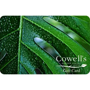 Cowell's Gift Card - Houseplant Design - image 2
