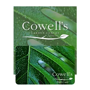 Cowell's Gift Card - Houseplant Design