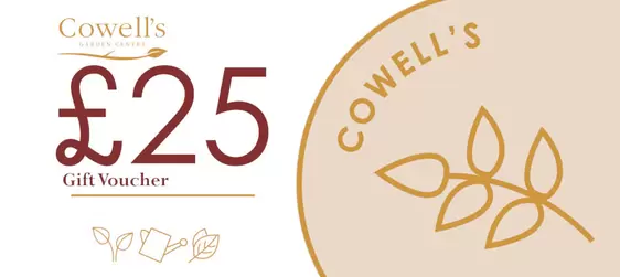 Cowell's Paper Gift Voucher £25