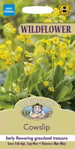 Cowslip Wildflower - image 1