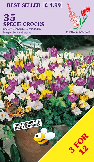 Crocus Early Species Mix