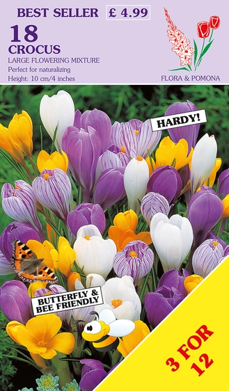 Crocus Large Flowering Mix