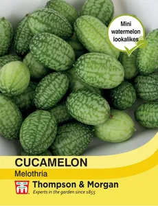 Cucamelon - image 1