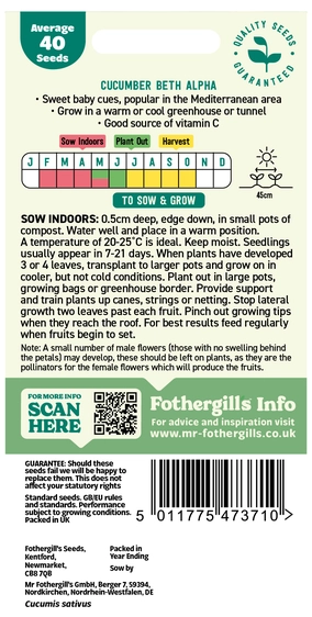 Cucumber Beth Alpha Seeds - image 2