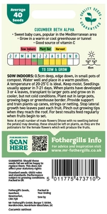 Cucumber Beth Alpha Seeds - image 2