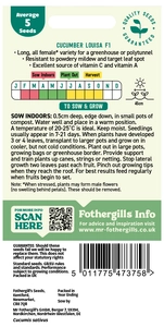 Cucumber Louisa F1 Seeds - image 2