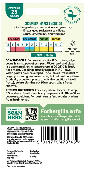 Cucumber Marketmore 76 - image 2