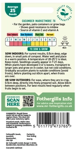 Cucumber Marketmore 76 - image 2