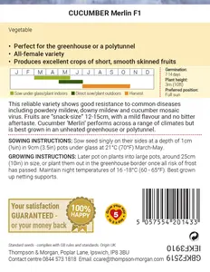 Cucumber Merlin F1 - image 2