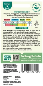 Cucumber Socrates F1 Seeds - image 2