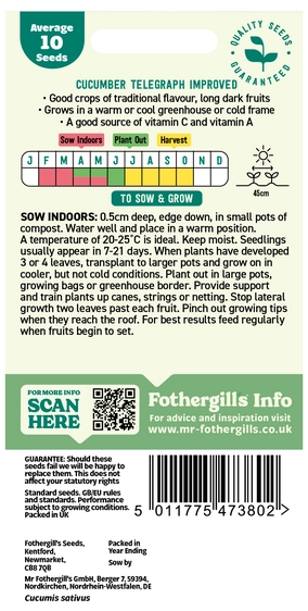 Cucumber Telegraph Improved Seeds - image 2