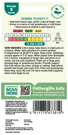 Cucumber Telepathy F1 - image 2