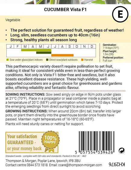 Cucumber Vista F1 Seeds - image 2