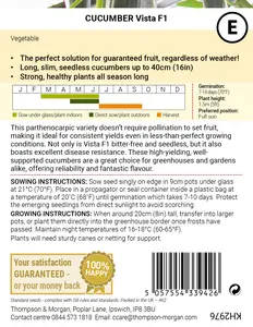 Cucumber Vista F1 Seeds - image 2