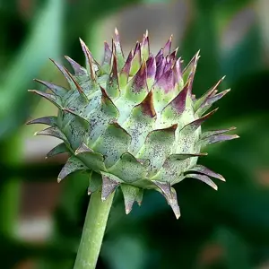 By Jim Evans - Own work, CC BY-SA 4.0, https://commons.wikimedia.org/w/index.php?curid=95895436