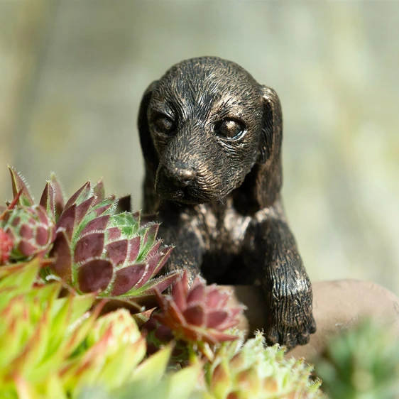 Dachshund Pot Buddy - image 2